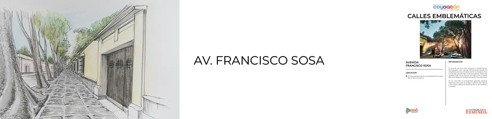 Av. Francisco Sosa
