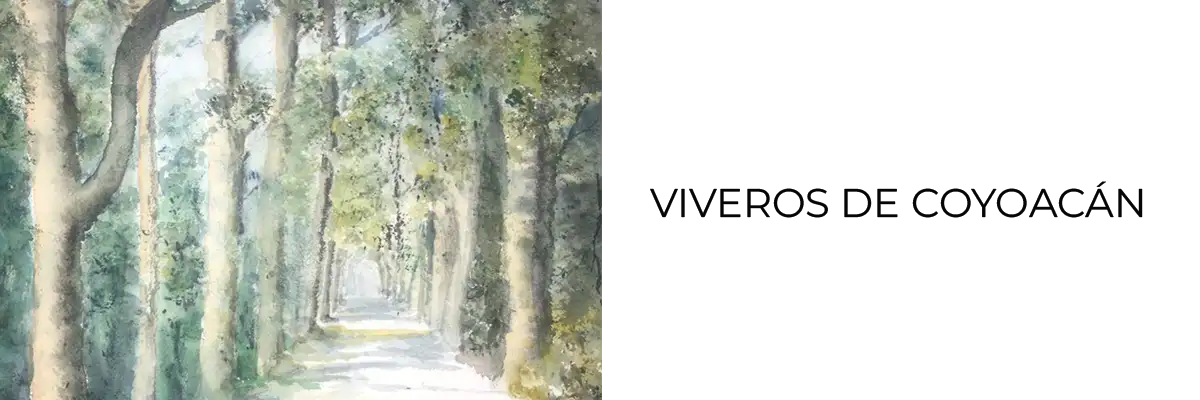 Viveros de Coyoacán
