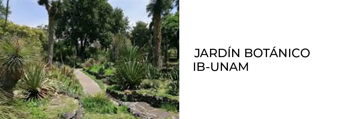 Jardín botánico IB-UNAM