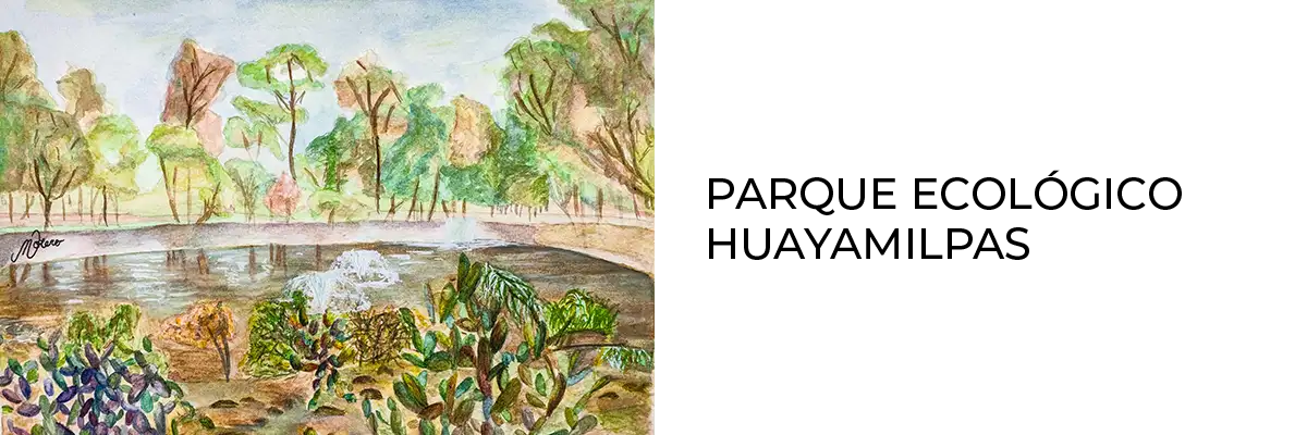 Parque Ecológico Huayamilpas