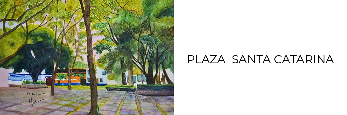 Plaza Santa Catarina