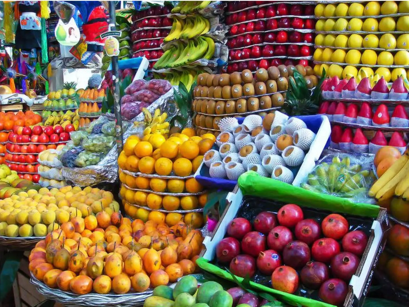 mercado de coyoacán