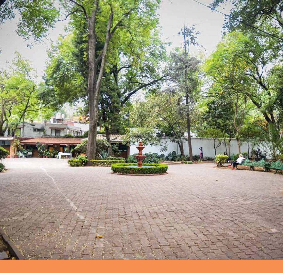 Jardines en la Casa de cultura Jesús Reyes Heroles