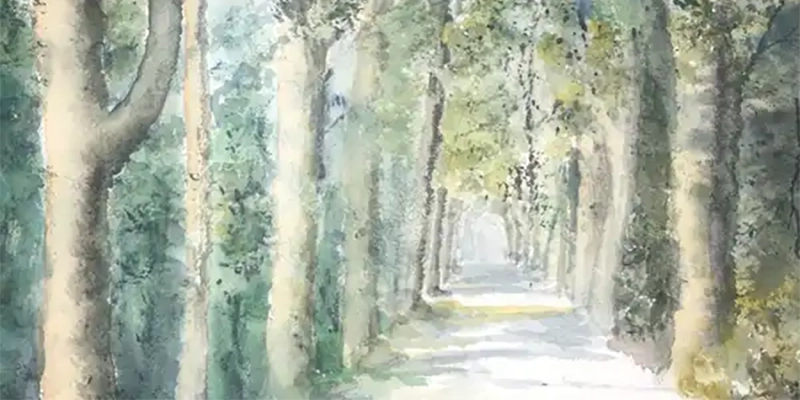 Viveros - parque nacional