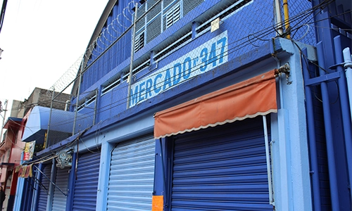 mercado copilco el alto