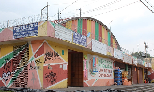 mercado los Reyes Coyoacan