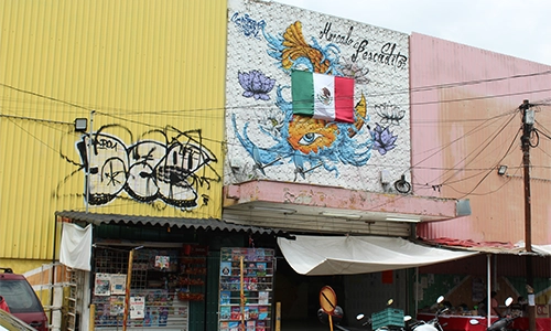 mercado santa ursula coapa