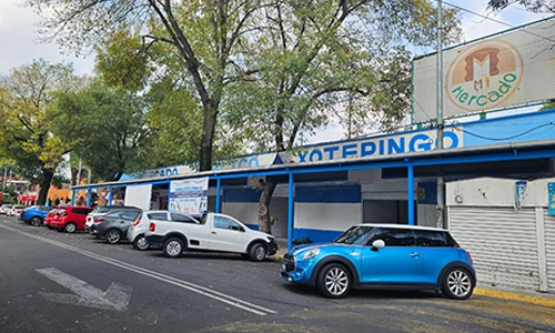mercado xotepingo