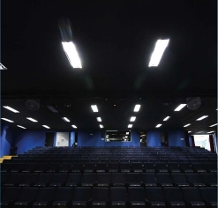 Foro Ana María mini